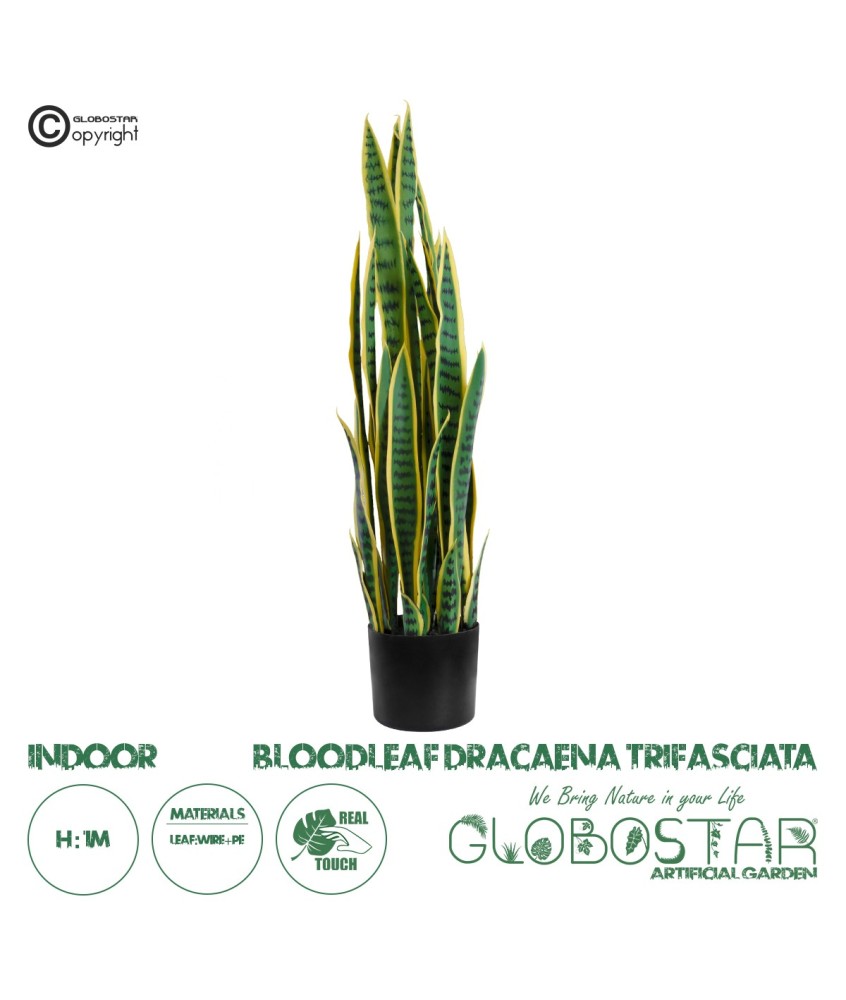 GloboStar® Artificial Garden BLOODLEAF DRACAENA TRIFASCIATA 20062 Τεχνητό Διακοσμητικό Φυτό Αιματόφυλλη Σανσεβιέρια Υ100cm